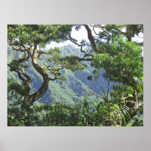 Póster Montañas Ko'olau y árboles Koa