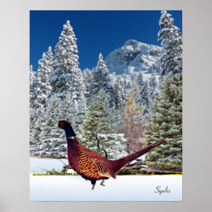 Póster Montañas nevadas con Poster faisán semi