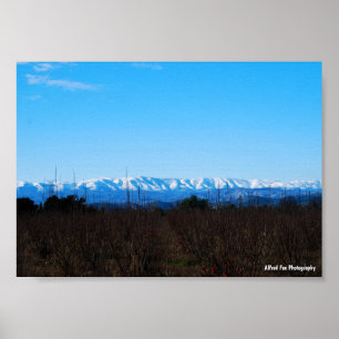 Póster Montañas nevadas detrás del campo de caquis