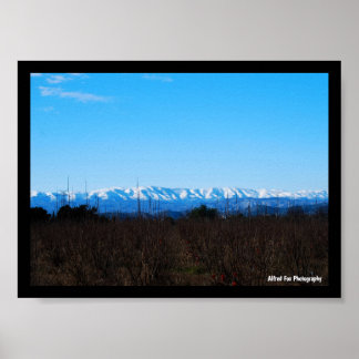 Póster Montañas nevadas detrás del campo de caquis