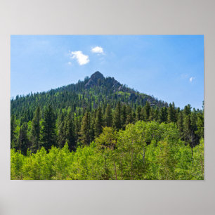 Póster Montañas rocosas y bosques en la puerta dorada