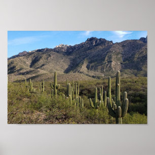 Póster Montañas Saguaro Cactus y Catalina, Tucson AZ