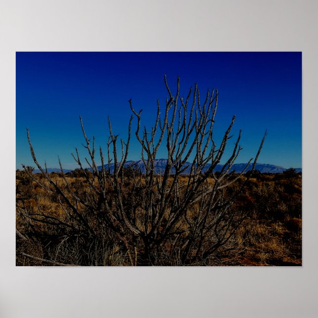 Póster Montañas Sandia Albuquerque  (Frente)