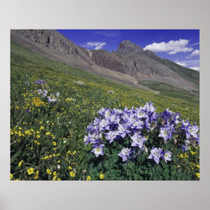 Póster Montañas y flores silvestres en prado alpino, Azul