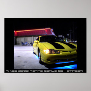 Póster Monte Carlo SS 2002