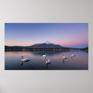Póster Monte Fuji   Lago Yamanaka con cisnes