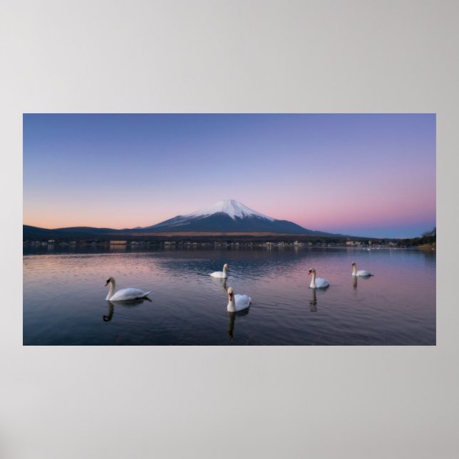 Póster Monte Fuji | Lago Yamanaka con cisnes (Frente)