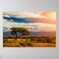 Monte Kilimanjaro | Amboseli (Kenya)