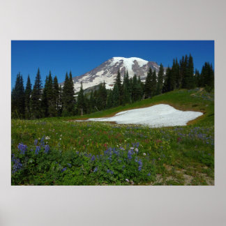 Póster Monte Rainier, flores silvestres y nieve