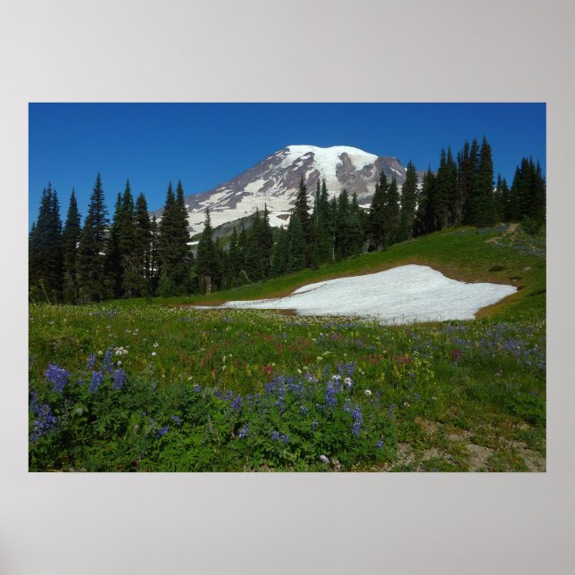 Póster Monte Rainier, flores silvestres y nieve (Frente)