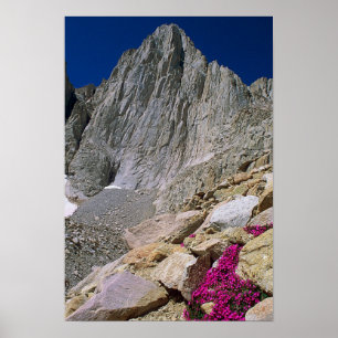 Póster Monte Whitney Y Flores Silvestres