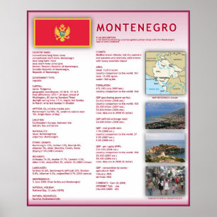 Póster Montenegro
