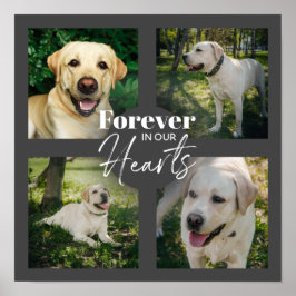 Póster Monumento a Mascota Collage de fotos personalizado
