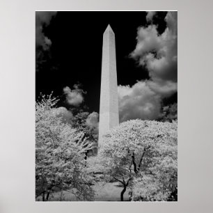 Póster Monumento a Washington