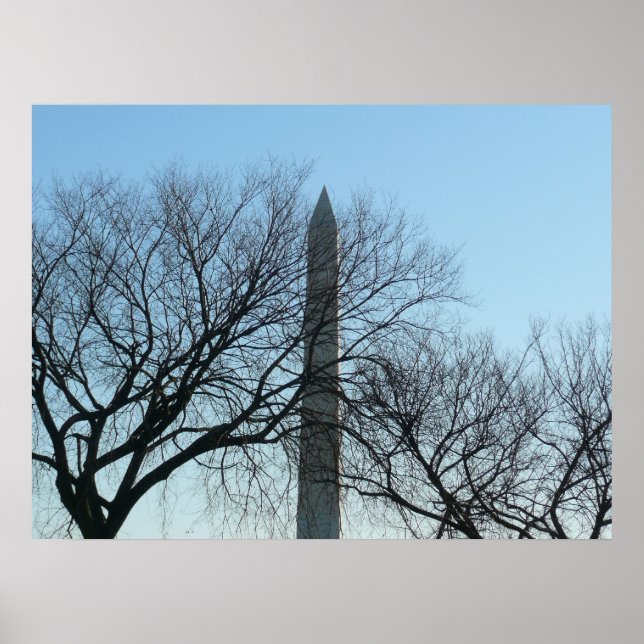 Póster Monumento a Washington en el paisaje invernal I (Frente)
