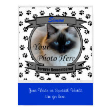 Monumento al gato recordado por siempre - Pérdida 