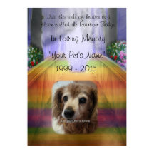 Monumento al Mascota del puente arcoiris - Poster