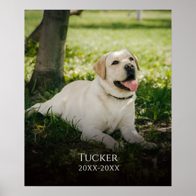Póster Monumento al nombre del Mascota de fotografía pers (Frente)