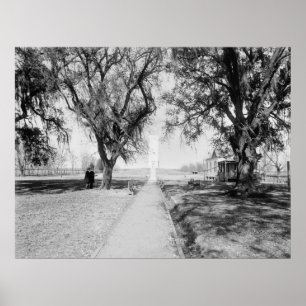 Póster Monumento de Chalmette: 1900