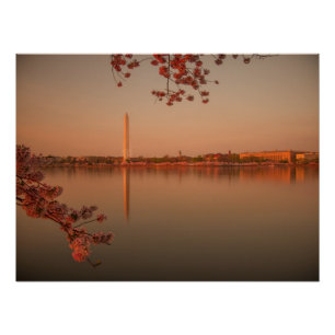 Póster Monumento de Washington Sakura en la puesta del