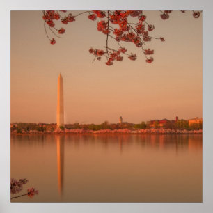 Póster Monumento de Washington Sakura en la puesta del