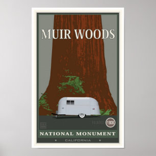 Póster Monumento nacional 1 de maderas de Muir