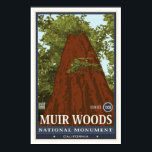 Póster Monumento nacional a Muir Woods 3<br><div class="desc">Viaja por nuestros Parques Nacionales</div>