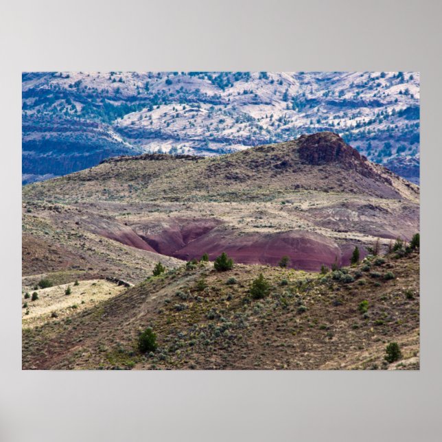 Póster Monumento Nacional John Day Fossil Beds, Oregón (Frente)