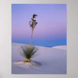 PÓSTER MONUMENTO NACIONAL WHITE SANDS, NUEVO MÉXICO.
