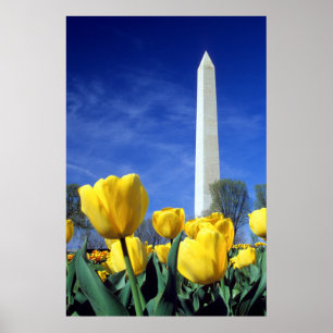 Póster Monumentos   Monumento a Washington en primavera