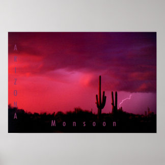 Póster Monzón de Arizona