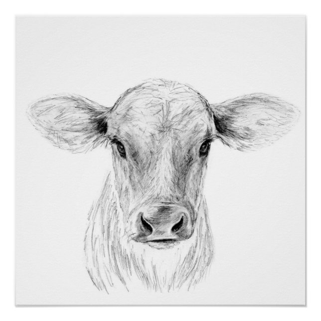 Póster Moo A Young Jersey Cow (Anverso)