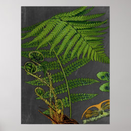 Póster Moody Art Fern con Chalkboard Antecedentes n.º 8