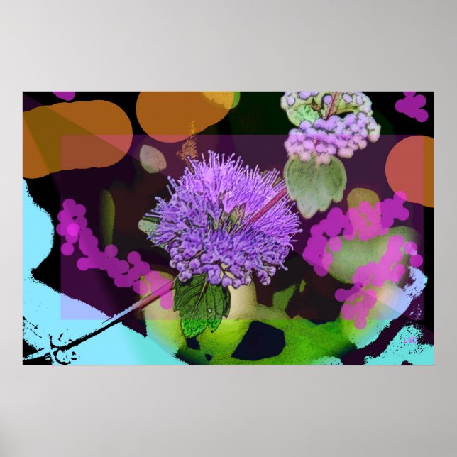 Póster Moody Bloom (Frente)