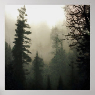 Póster Moody Foggy Treescape Painting paisajístico