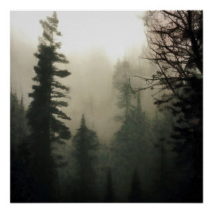 Póster Moody Foggy Treescape Painting paisajístico