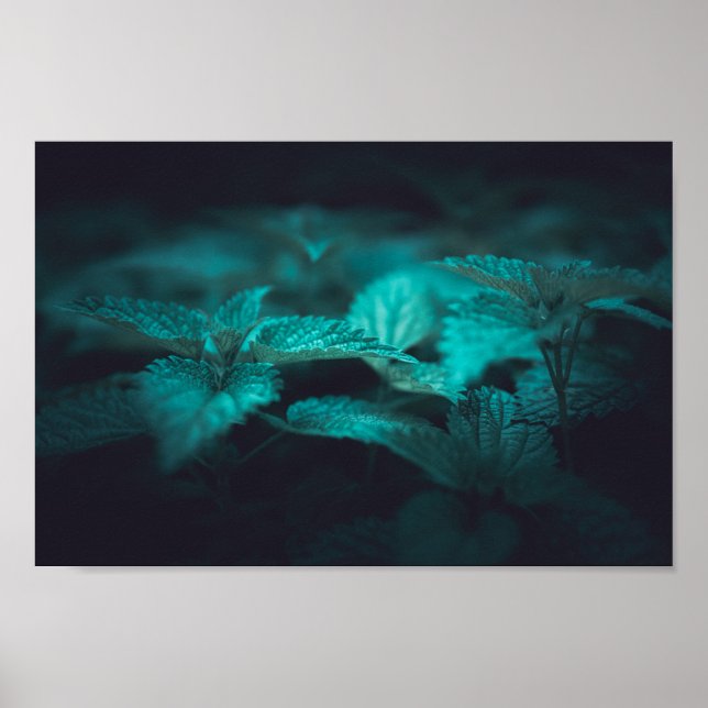 Póster Moody oscuro, tiñendo la foto de Nettle Nature (Frente)