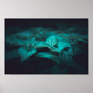 Póster Moody oscuro, tiñendo la foto de Nettle Nature