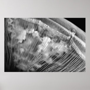Póster Moon Beads - Poster