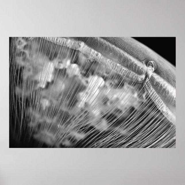 Póster Moon Beads - Poster (Frente)