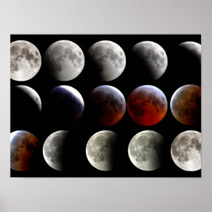 Póster Moon Phases