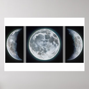 Póster Moon Phases