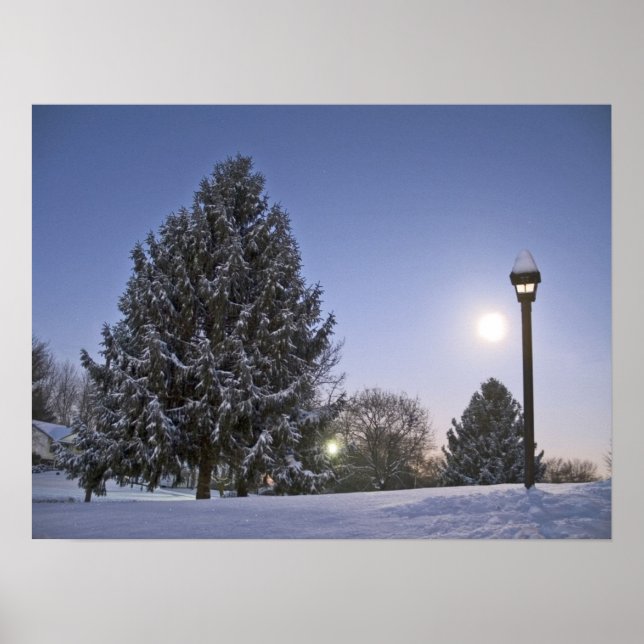 Póster Moon Rise (Frente)