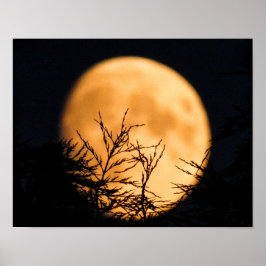 Póster Moon Silhouette