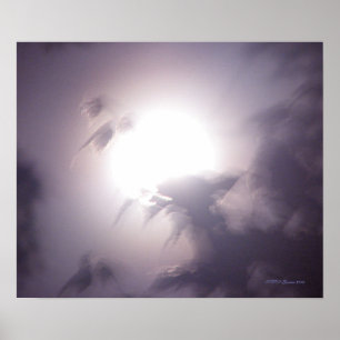 Póster Moon Unplugged