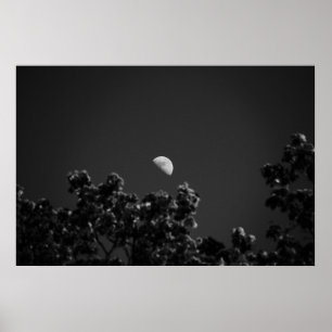 Póster MoonB&W