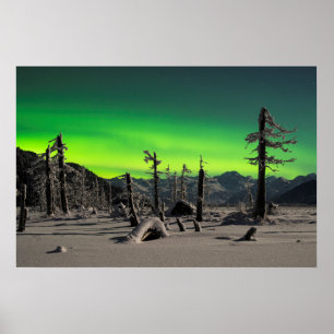 Póster Moonlight Aurora