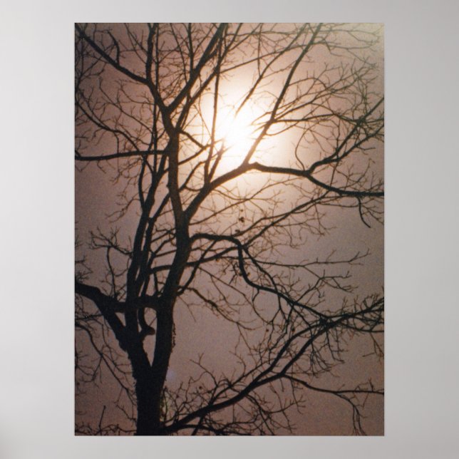Póster Moonlight Dream (Frente)