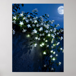 Póster Moonlit White Flowers Vine Art