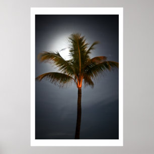 Póster Moonrise on Palm